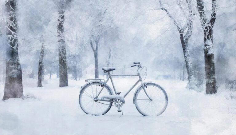 Снежный байк