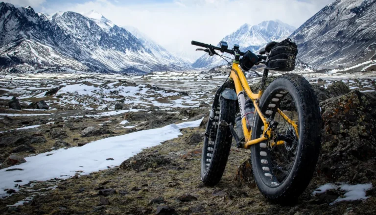 Fatbike