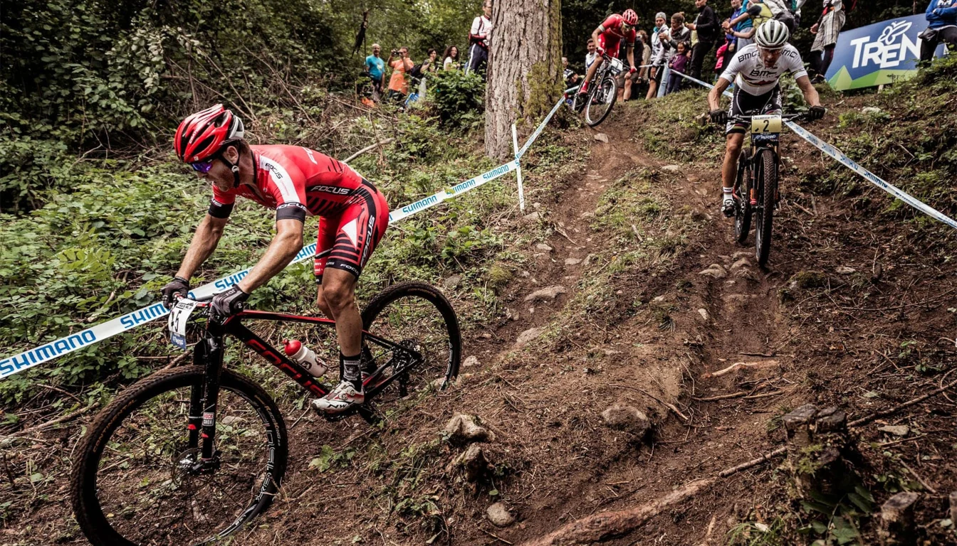 Виды соревнований по горному велосипеду