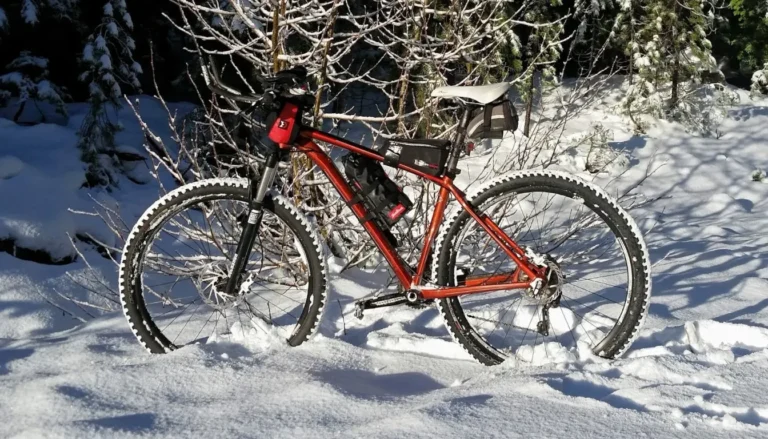 Зимой на велосипеде